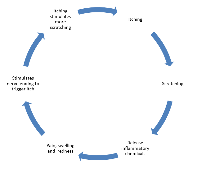 Breaking the itch scratch cycle eczema